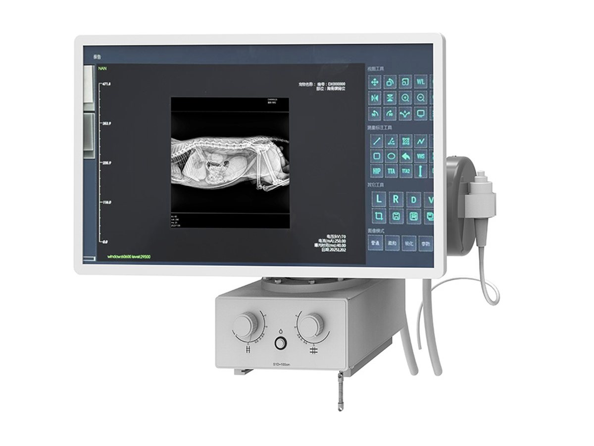 Veterinary DR imaging workstation display